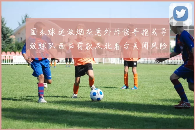 国米球迷放烟花意外炸伤手指或导致球队面临罚款及北看台关闭风险