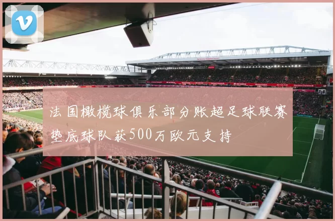 法国橄榄球俱乐部分账超足球联赛垫底球队获500万欧元支持